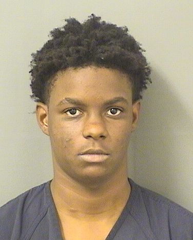  WIBENESON SIMON Results from Palm Beach County Florida for  WIBENESON SIMON