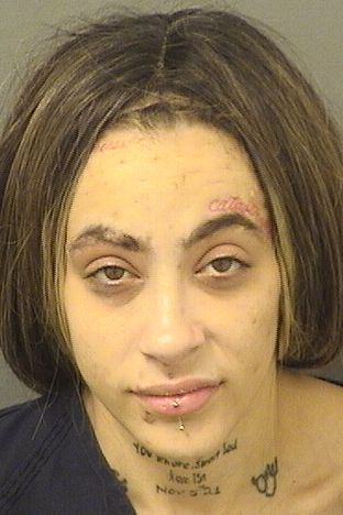 CELENA MARIE BURGOS Results from Palm Beach County Florida for CELENA MARIE BURGOS CELENA MARIE BURGOS Results from Palm Beach County Florida for CELENA MARIE BURGOS