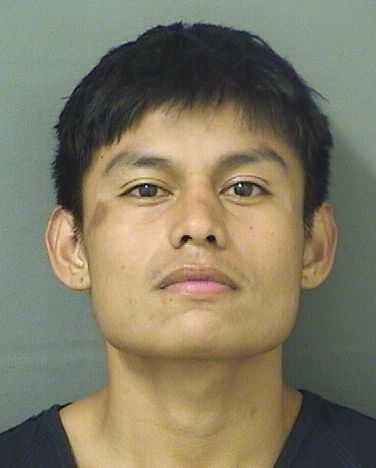 CHRISITAN JAVIER DOMINGOLOPEZ Results from Palm Beach County Florida for CHRISITAN JAVIER DOMINGOLOPEZ CHRISITAN JAVIER DOMINGOLOPEZ Results from Palm Beach County Florida for CHRISITAN JAVIER DOMINGOLOPEZ