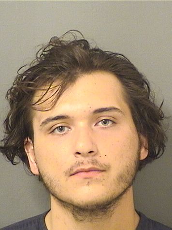  DOMINIC ALIAS VALENTIN Results from Palm Beach County Florida for  DOMINIC ALIAS VALENTIN