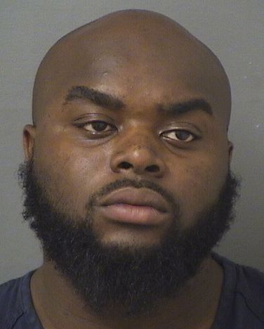  TERRY EMMANUEL AKINS Results from Palm Beach County Florida for  TERRY EMMANUEL AKINS