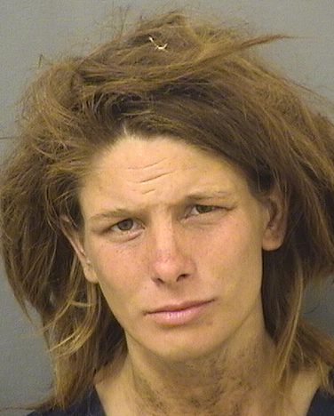  BRIANNA ELIZABETH TILLMAN Results from Palm Beach County Florida for  BRIANNA ELIZABETH TILLMAN