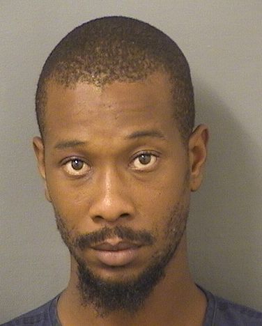  DONALD CHRISTIAN III WILSON Results from Palm Beach County Florida for  DONALD CHRISTIAN III WILSON