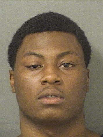  DANDRE M J LEGER Results from Palm Beach County Florida for  DANDRE M J LEGER