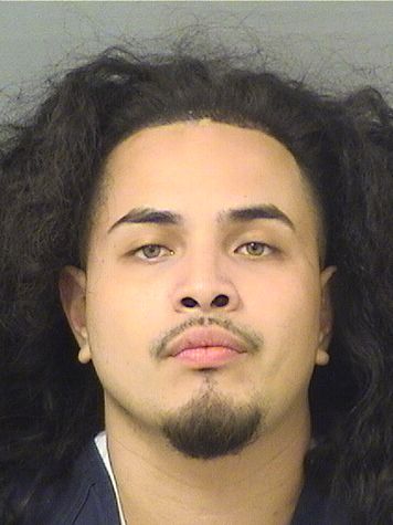  ALEJANDRO DANIEL SALGADOAGUILERA Results from Palm Beach County Florida for  ALEJANDRO DANIEL SALGADOAGUILERA