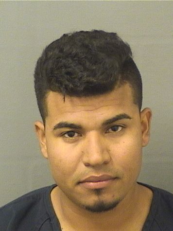  MARCO TULIO GUEVARACORTEZ Results from Palm Beach County Florida for  MARCO TULIO GUEVARACORTEZ