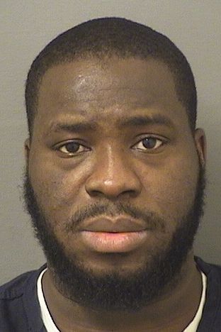  LOUEUS THEVENIN Results from Palm Beach County Florida for  LOUEUS THEVENIN