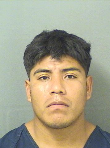  DAVILMAR GUADALUPE RAMIREZRAMOS Resultados de la busqueda para Palm Beach County Florida para  DAVILMAR GUADALUPE RAMIREZRAMOS