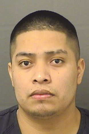  ANDRES DIAZPEREZ Results from Palm Beach County Florida for  ANDRES DIAZPEREZ