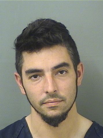  MICHAEL LEONARD BOCHICCHIO Results from Palm Beach County Florida for  MICHAEL LEONARD BOCHICCHIO