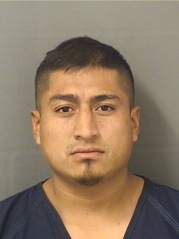  BRIAN GUATANEGRO Results from Palm Beach County Florida for  BRIAN GUATANEGRO