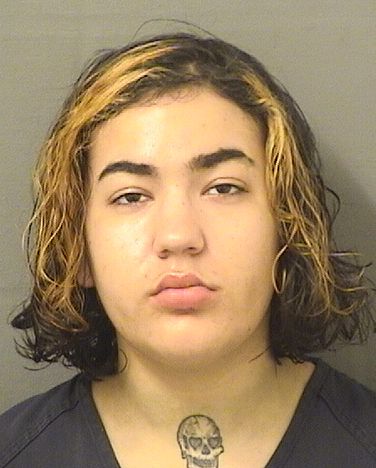  ELENA J FALZONE Results from Palm Beach County Florida for  ELENA J FALZONE