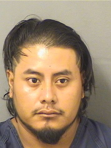  ORLANDO DARINEL VASQUEZ Results from Palm Beach County Florida for  ORLANDO DARINEL VASQUEZ