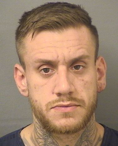  DANIEL ROBERT PARAPAR Results from Palm Beach County Florida for  DANIEL ROBERT PARAPAR