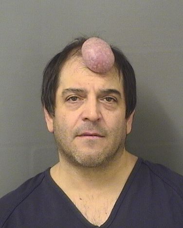 ANTHONY ETTORE PIZZO Photos For ANTHONY ETTORE PIZZO ANTHONY ETTORE PIZZO Photo For ANTHONY ETTORE PIZZO