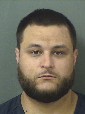  DAVID CHRISTIAN DAMBROSIO Results from Palm Beach County Florida for  DAVID CHRISTIAN DAMBROSIO
