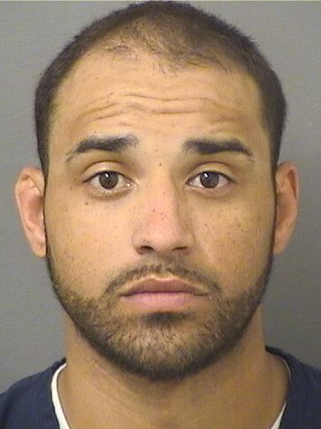  BRANDEN NIKITA BROWN Results from Palm Beach County Florida for  BRANDEN NIKITA BROWN