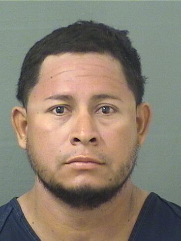  KELVIN CHEVEZ Results from Palm Beach County Florida for  KELVIN CHEVEZ