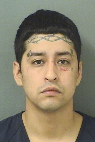  CRISTIAN EDWARD ROJASDELACRUZ Results from Palm Beach County Florida for  CRISTIAN EDWARD ROJASDELACRUZ