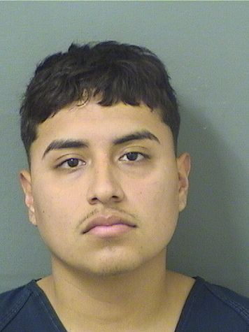  BRAYAM FLORES Results from Palm Beach County Florida for  BRAYAM FLORES