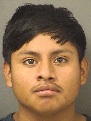  ROBIN ANTONIO RAMIREZSANDOVAL Results from Palm Beach County Florida for  ROBIN ANTONIO RAMIREZSANDOVAL