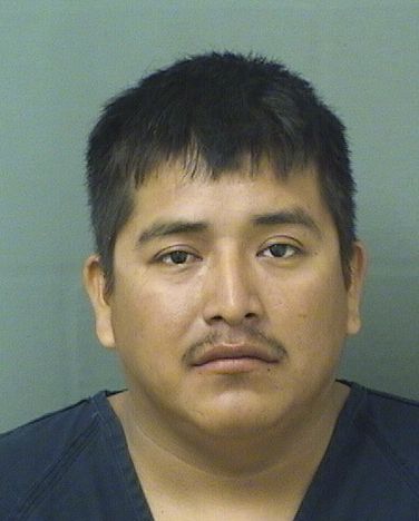  AMADEO REYESMONTES Results from Palm Beach County Florida for  AMADEO REYESMONTES