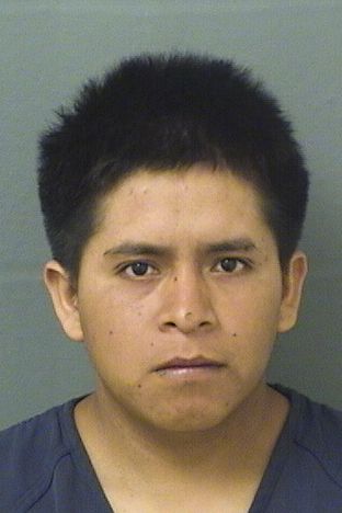  FRANCISCO SALUCIODOMINGO Results from Palm Beach County Florida for  FRANCISCO SALUCIODOMINGO