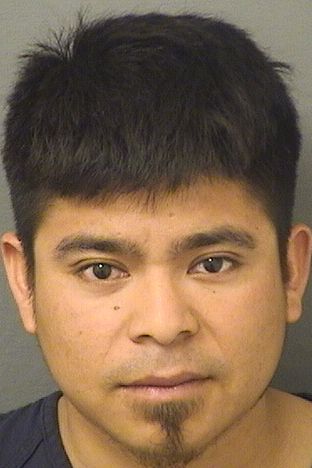  GABRIEL SALUCIODOMINGO Results from Palm Beach County Florida for  GABRIEL SALUCIODOMINGO