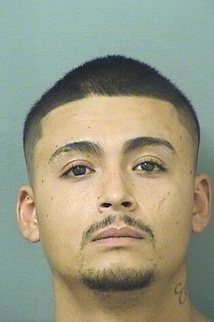  BRIAN ORTEGA Results from Palm Beach County Florida for  BRIAN ORTEGA