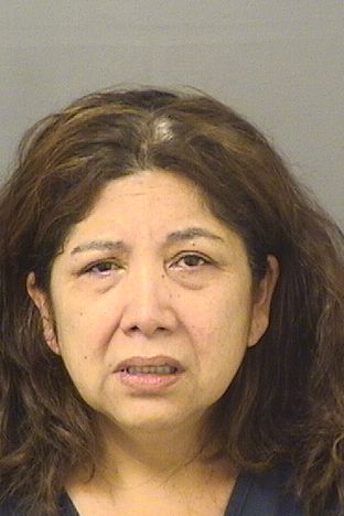  SANDRA JUANA ANTON Results from Palm Beach County Florida for  SANDRA JUANA ANTON