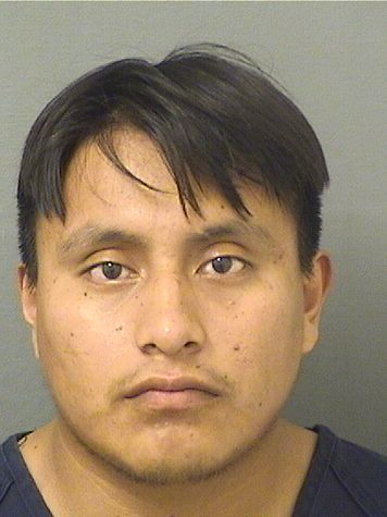  PEDRO MIGUEL FELIPE Results from Palm Beach County Florida for  PEDRO MIGUEL FELIPE