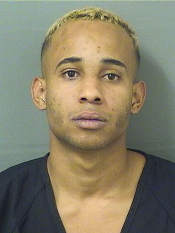  YOEL DAVID ADINAS Results from Palm Beach County Florida for  YOEL DAVID ADINAS