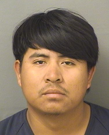  JUAN DOMINGOPEREZ Results from Palm Beach County Florida for  JUAN DOMINGOPEREZ