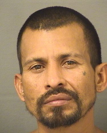  JOSE LOPEZPADILLA Photo For  JOSE LOPEZPADILLA