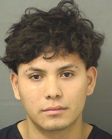  ENNER WILVEREMILIO GUTIERREZ Results from Palm Beach County Florida for  ENNER WILVEREMILIO GUTIERREZ