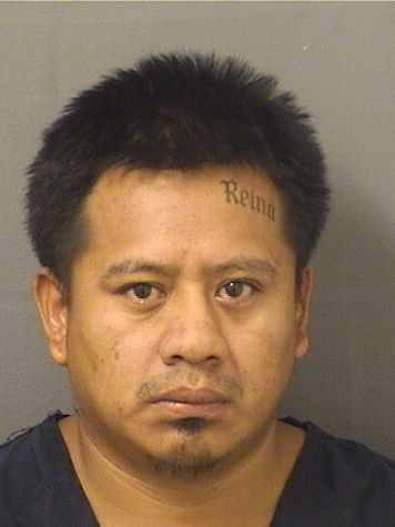  ALEXANDER NOEL DELEONGABRIEL Resultados de la busqueda para Palm Beach County Florida para  ALEXANDER NOEL DELEONGABRIEL