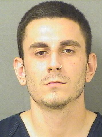  CONNOR PATRICK MCBREENFASANO Results from Palm Beach County Florida for  CONNOR PATRICK MCBREENFASANO