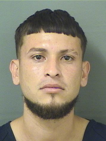  ERNESTO MENDOZABARRIOS Results from Palm Beach County Florida for  ERNESTO MENDOZABARRIOS