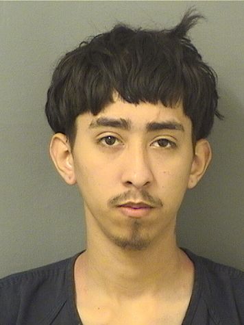  ERICK MORENOSANCHEZ Results from Palm Beach County Florida for  ERICK MORENOSANCHEZ