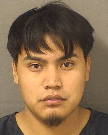  BRAYAN ABEL CALELPU Results from Palm Beach County Florida for  BRAYAN ABEL CALELPU