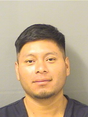  MIGUEL BERNABELOPEZ Results from Palm Beach County Florida for  MIGUEL BERNABELOPEZ