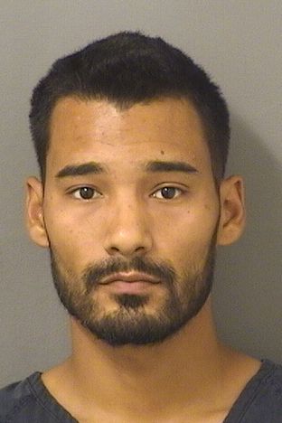  BLAKE D DOBSON Resultados de la busqueda para Palm Beach County Florida para  BLAKE D DOBSON