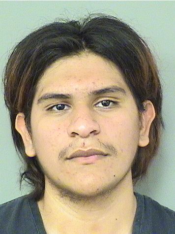  MARTIN FONSECA Results from Palm Beach County Florida for  MARTIN FONSECA