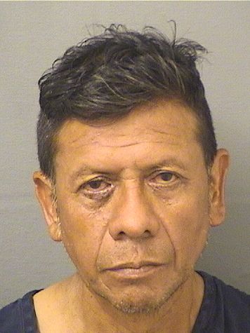  MARCELINO LOPEZLOPEZ Results from Palm Beach County Florida for  MARCELINO LOPEZLOPEZ