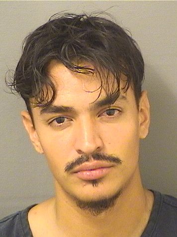  NICOLAS MOYANOCASTIBLANCO Results from Palm Beach County Florida for  NICOLAS MOYANOCASTIBLANCO