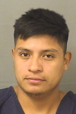  HIGINIO GUILLERMO PEREZVELASQUEZ Results from Palm Beach County Florida for  HIGINIO GUILLERMO PEREZVELASQUEZ