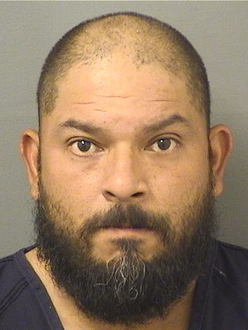  RAUL ALEXANDER GARCIACASTRO Results from Palm Beach County Florida for  RAUL ALEXANDER GARCIACASTRO