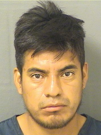  NELSON BOSVELI GOMEZCARRILLO Results from Palm Beach County Florida for  NELSON BOSVELI GOMEZCARRILLO