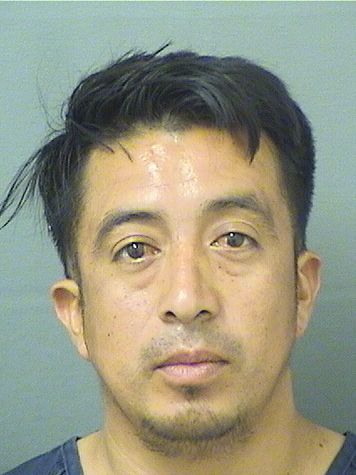  LEONARDO MISRAHIM ORTIZRAMIREZ Results from Palm Beach County Florida for  LEONARDO MISRAHIM ORTIZRAMIREZ