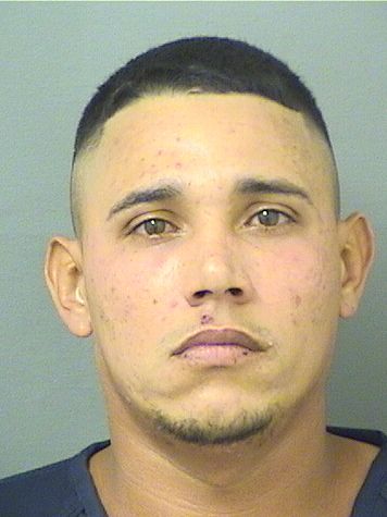  DANIEL VILLAARANGO Resultados de la busqueda para Palm Beach County Florida para  DANIEL VILLAARANGO